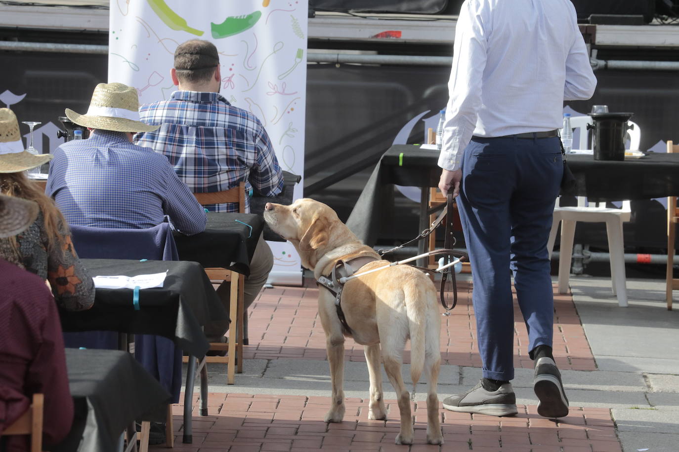 Fotos: Segunda jornada de Plaza Mayor del Vino en Valladolid (3/4)