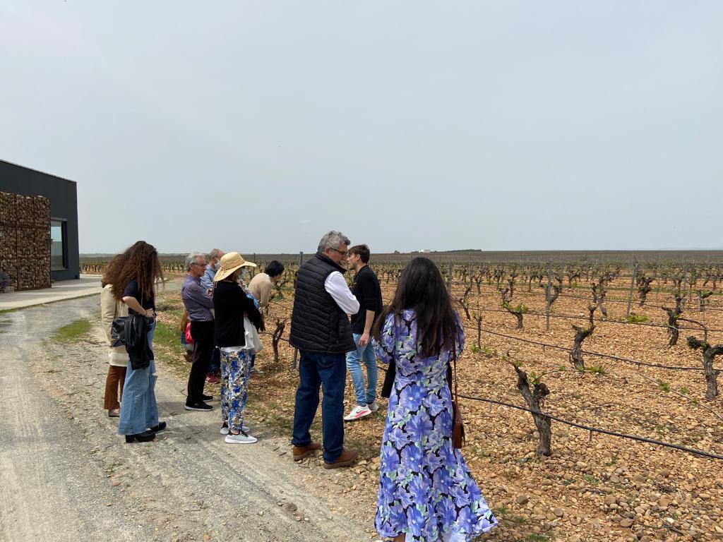 Fotos: Ruta del Vino de Rueda en la cuarta edición &#039;Valladolid. Plaza Mayor del Vino&#039;.