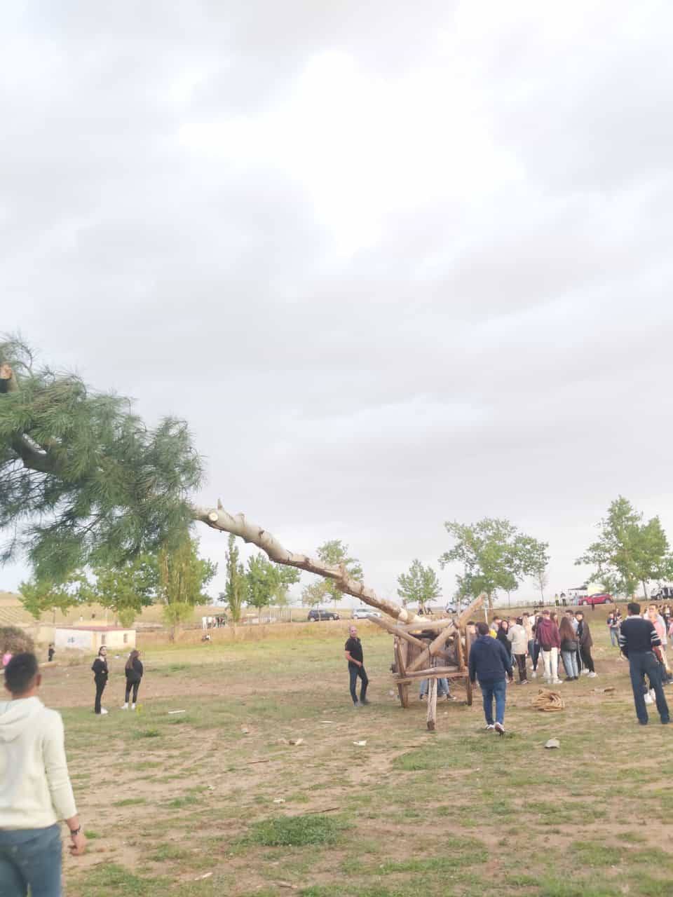 Quintos de San Román de Hornija transportando su mayo en carro 