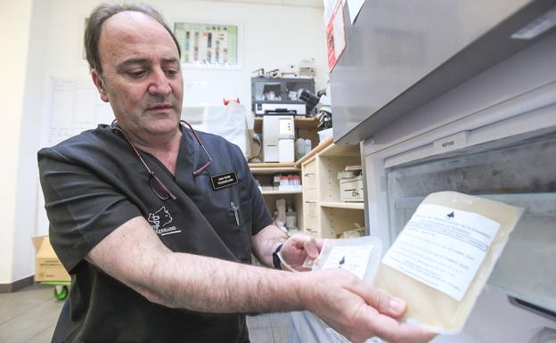 Juan Monge, propietario del Centro Veterinario Zorrilla, muestra varias bolsas de plasma de perro y gato. 