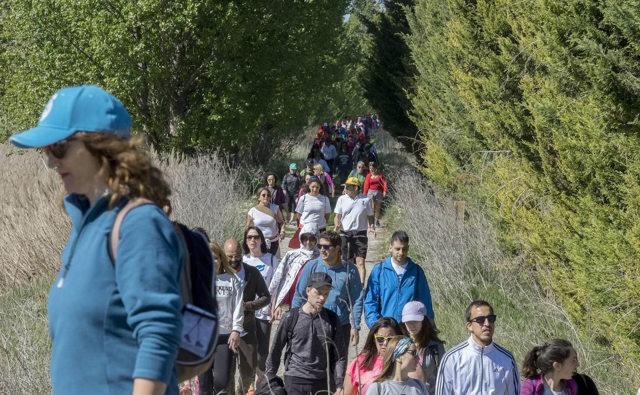 Imagen de archivo de varios andarines durante la Marcha Asprona de 2019. 