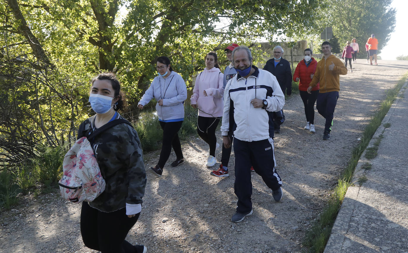 Fotos: La Marcha de Aspanis de Palencia en imágenes