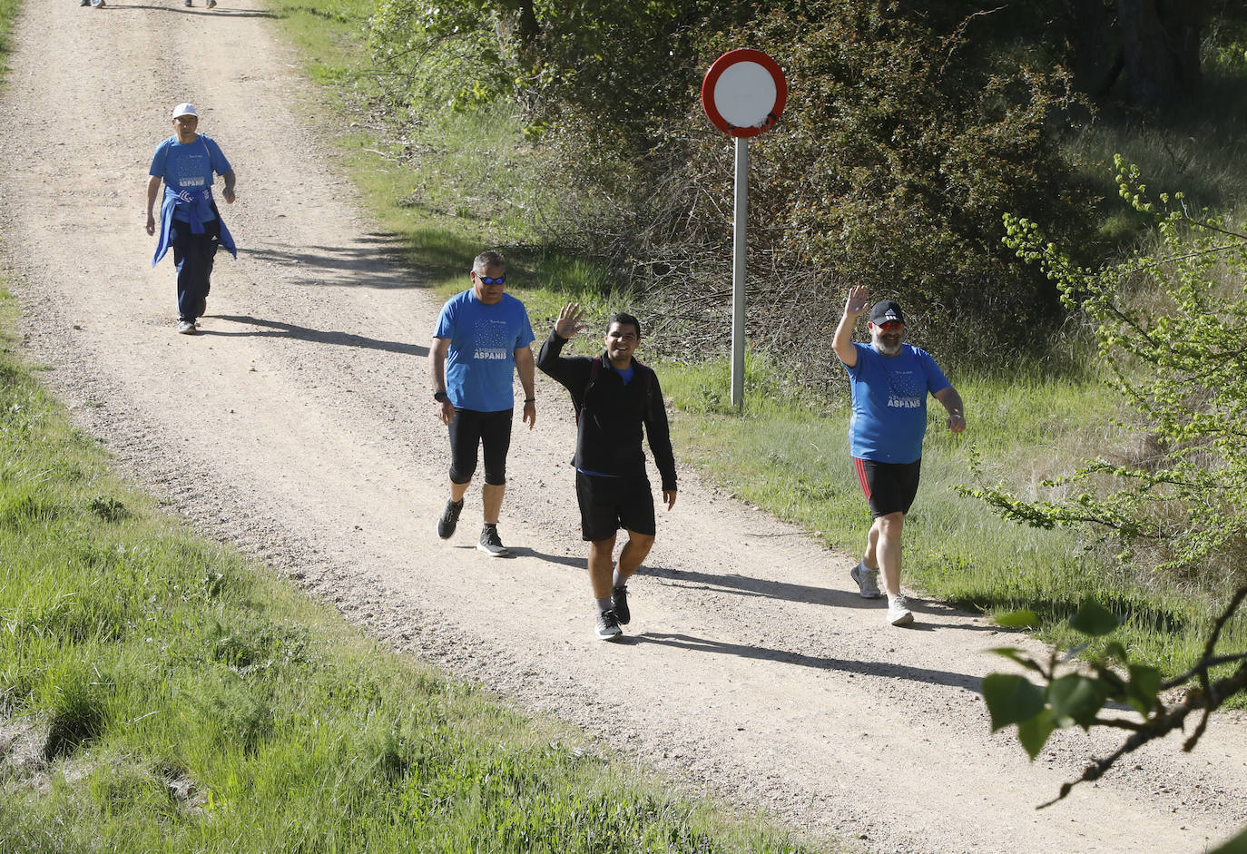 Fotos: La Marcha de Aspanis de Palencia en imágenes