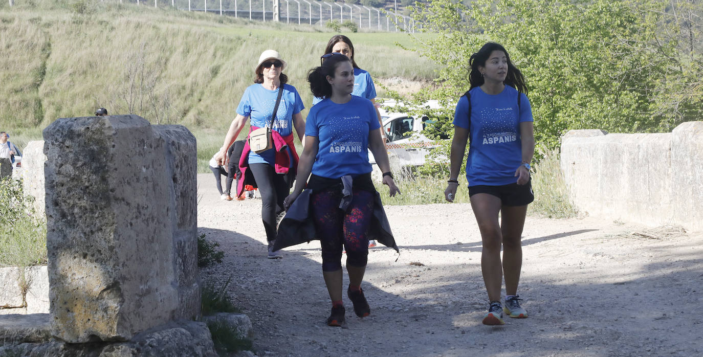 Fotos: La Marcha de Aspanis de Palencia en imágenes