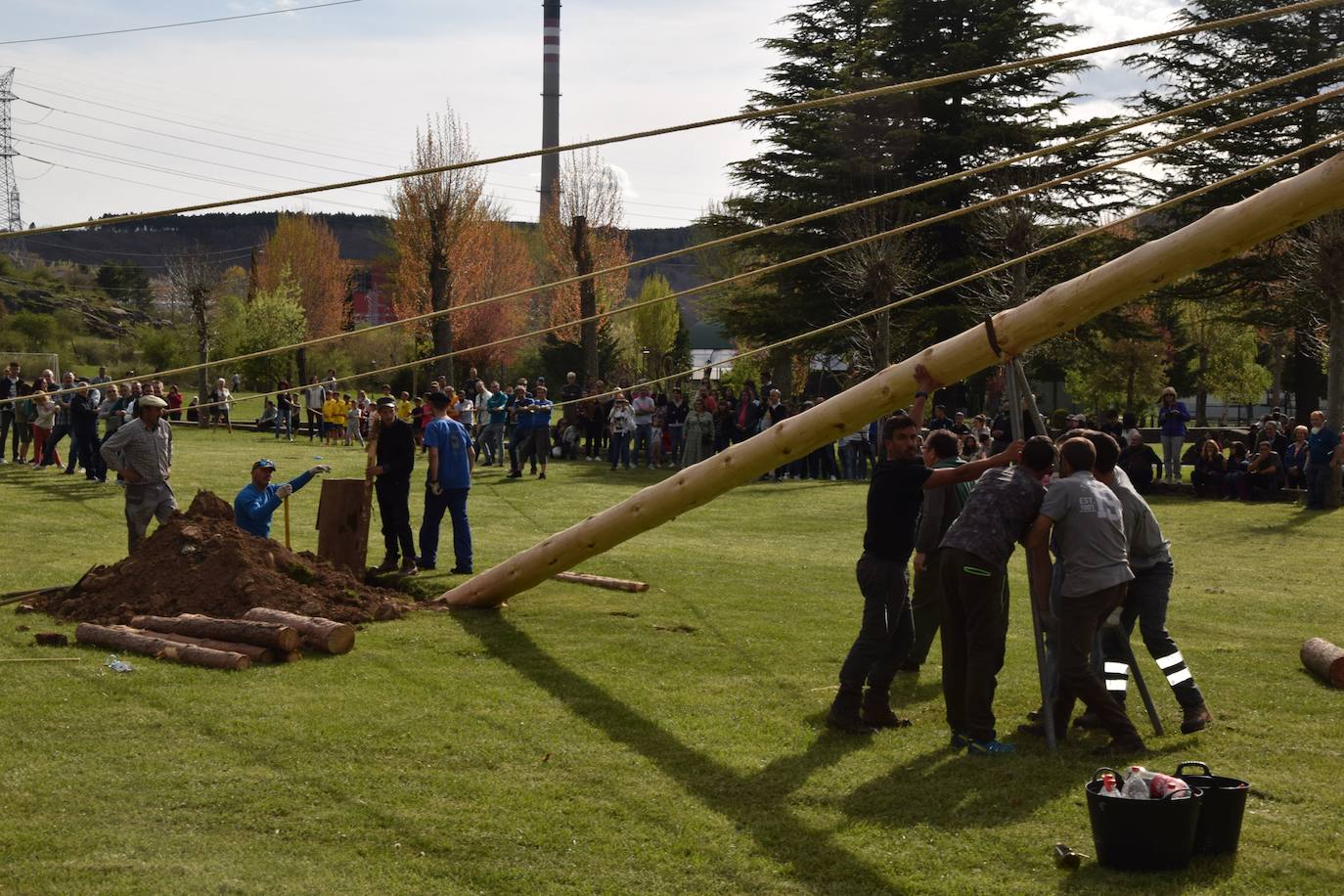 Fotos: Velilla recupera la &#039;Pinada del Mayo&#039;