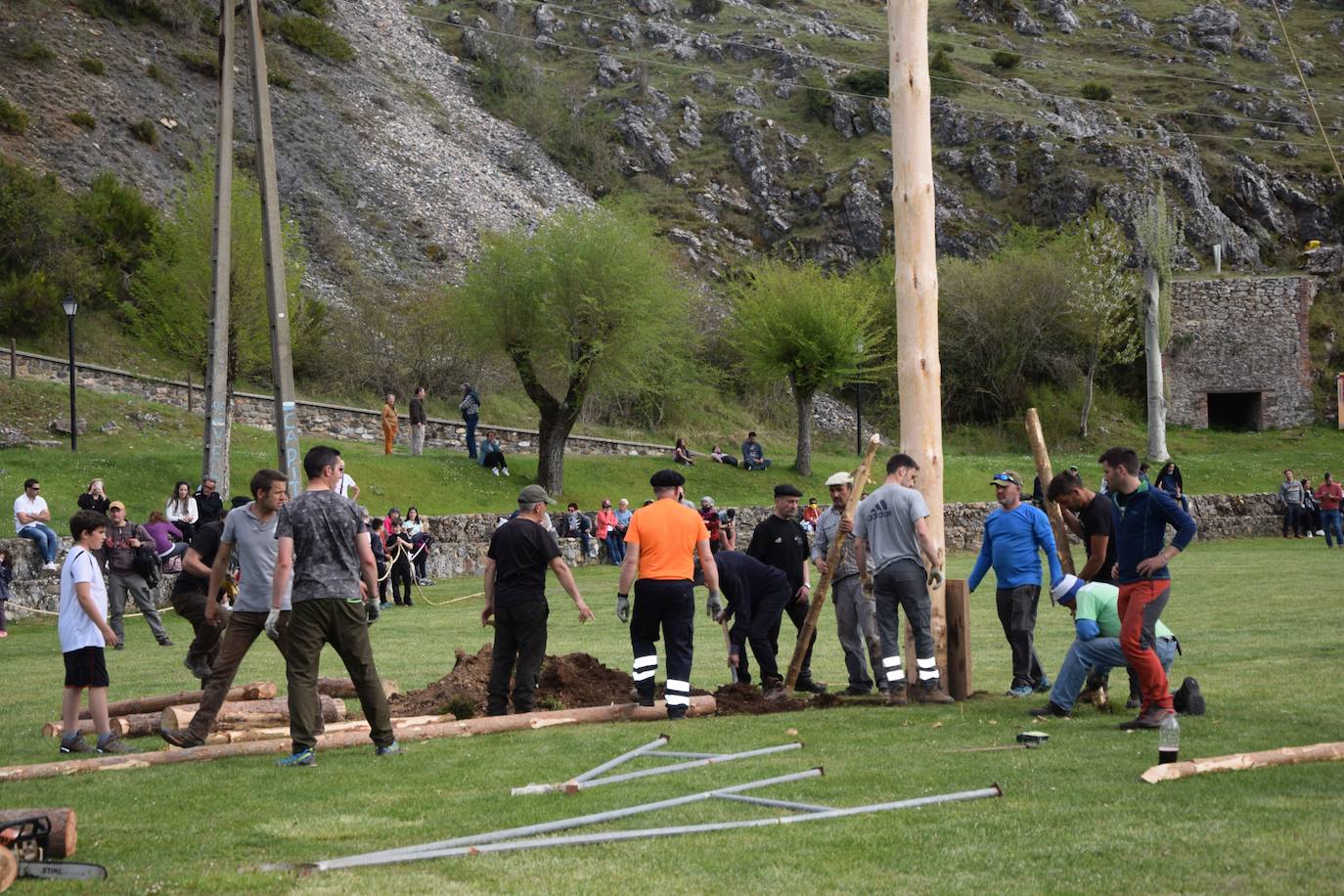 Fotos: Velilla recupera la &#039;Pinada del Mayo&#039;