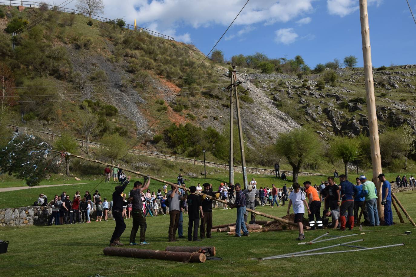 Fotos: Velilla recupera la &#039;Pinada del Mayo&#039;