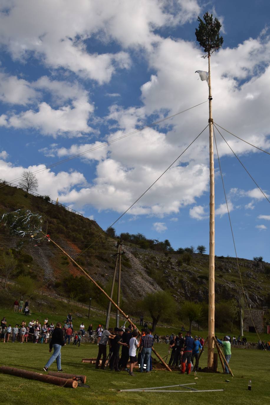 Fotos: Velilla recupera la &#039;Pinada del Mayo&#039;