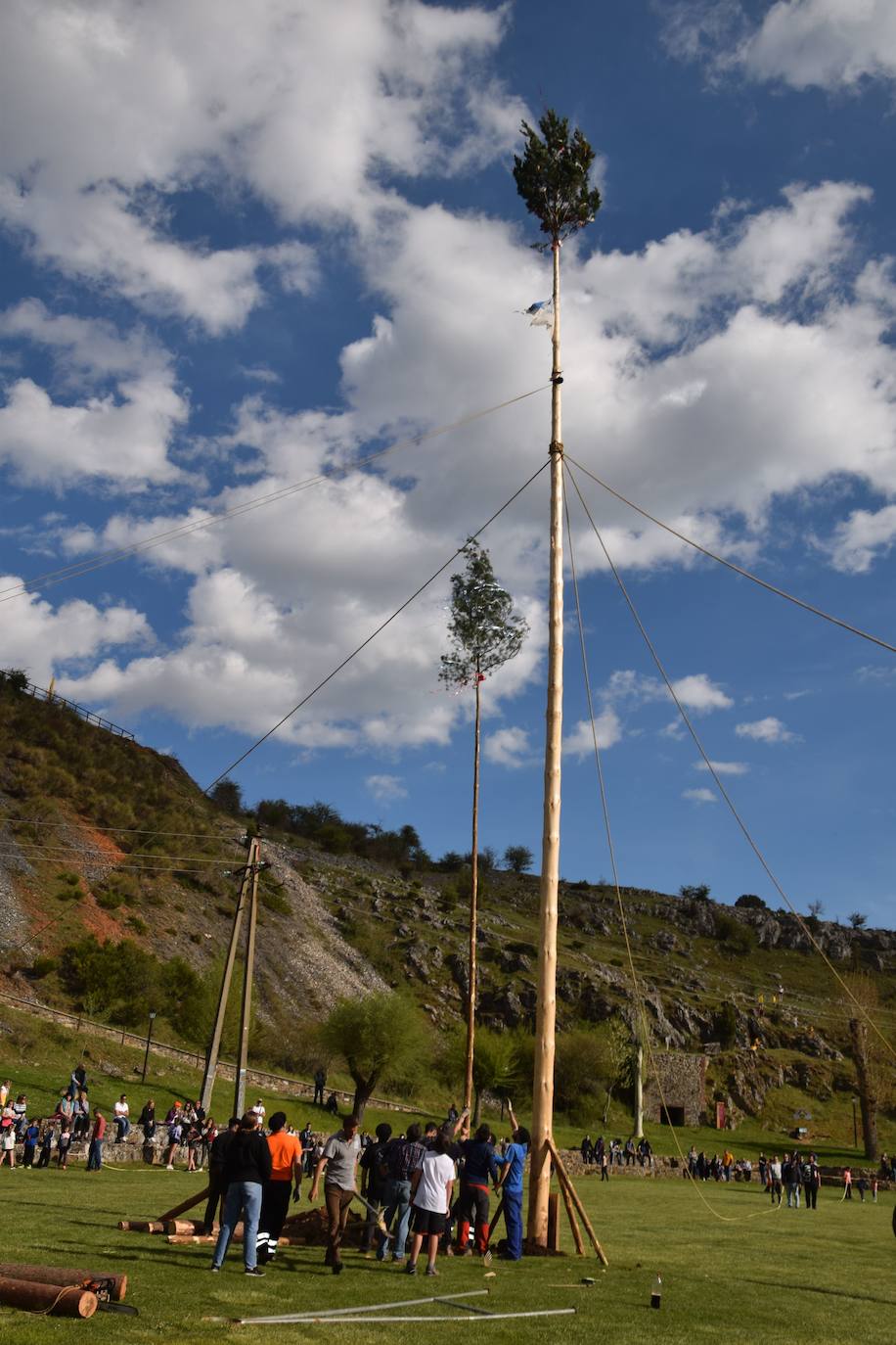 Fotos: Velilla recupera la &#039;Pinada del Mayo&#039;