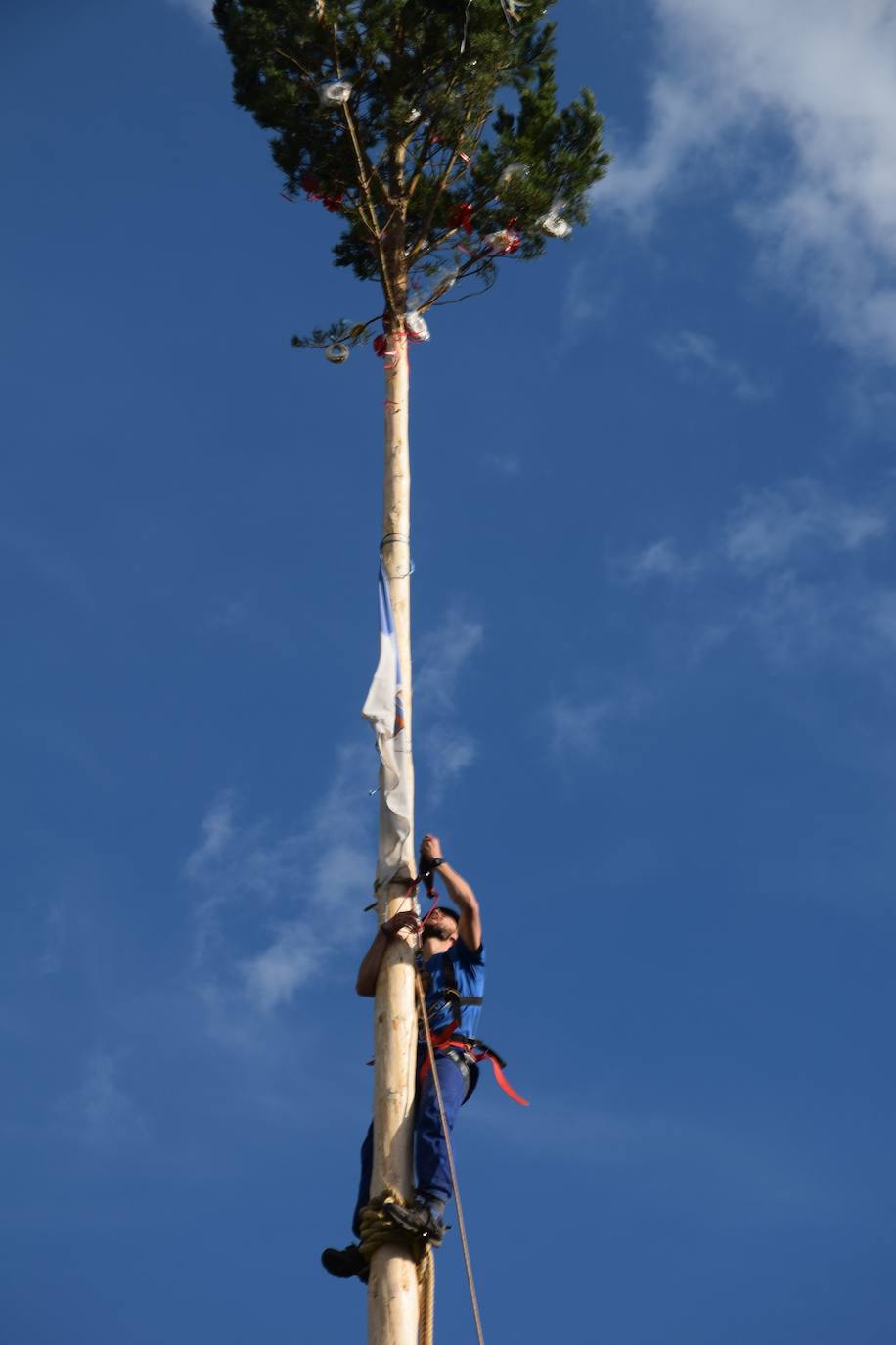 Fotos: Velilla recupera la &#039;Pinada del Mayo&#039;
