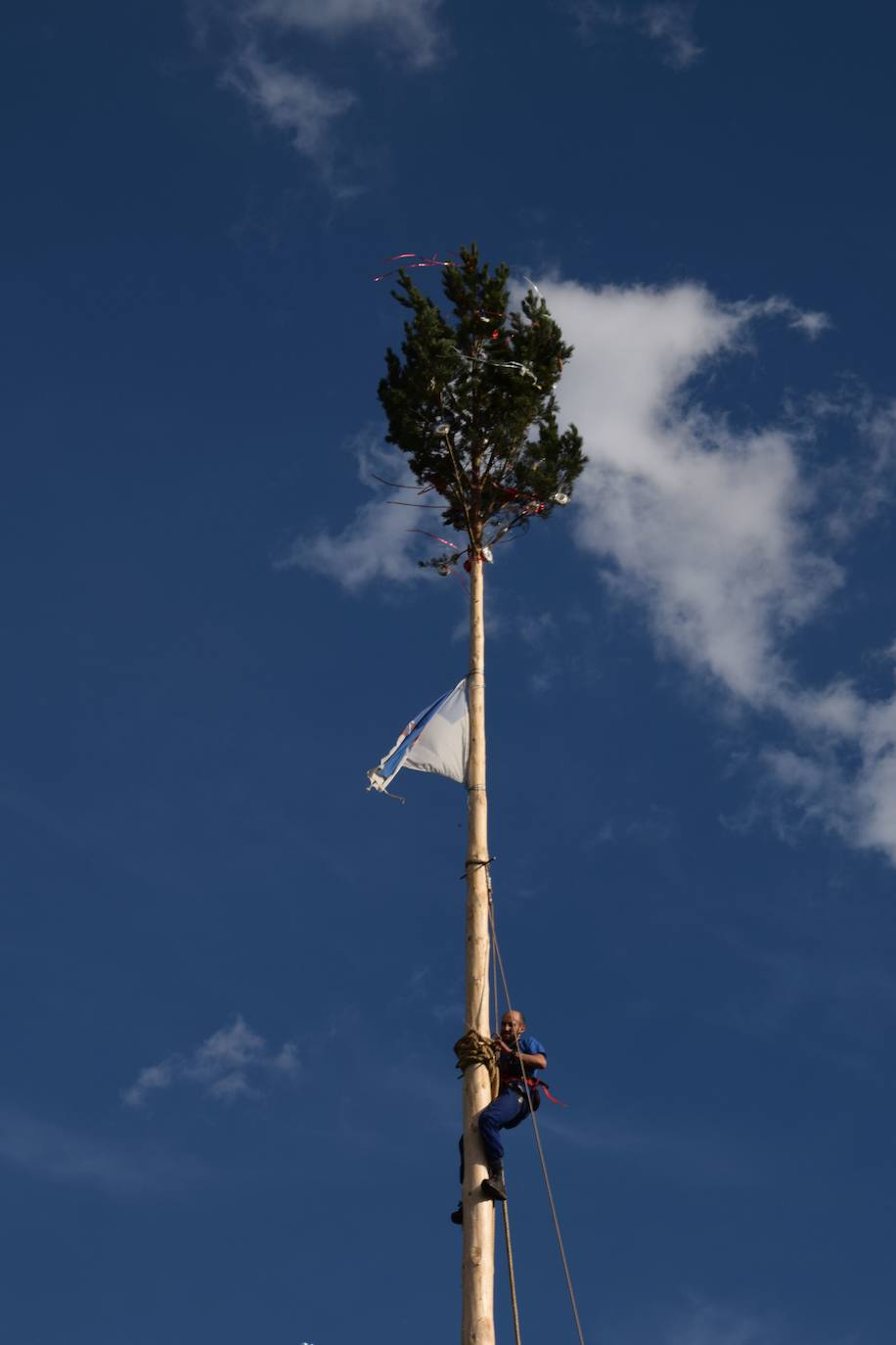 Fotos: Velilla recupera la &#039;Pinada del Mayo&#039;