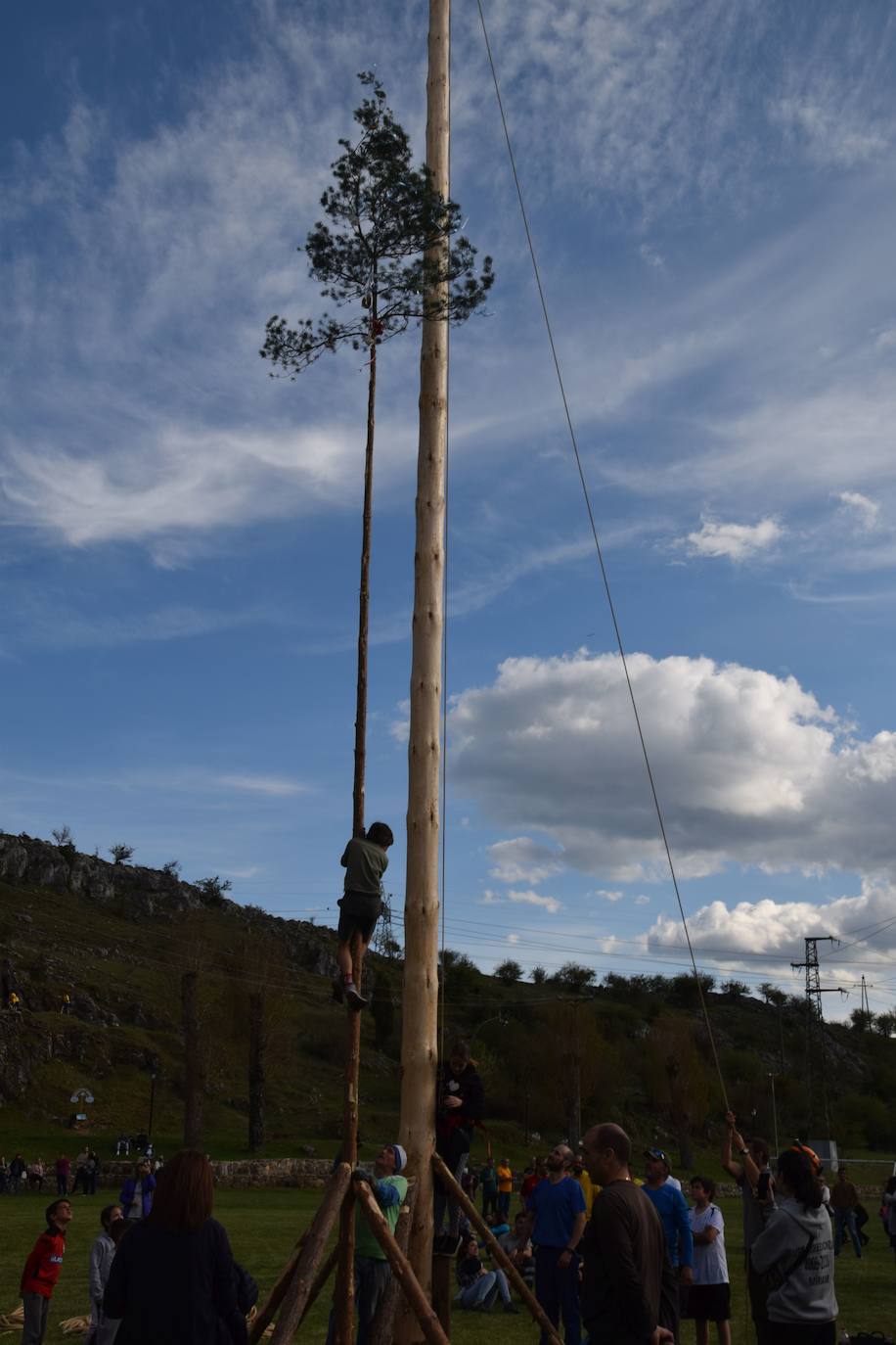 Fotos: Velilla recupera la &#039;Pinada del Mayo&#039;