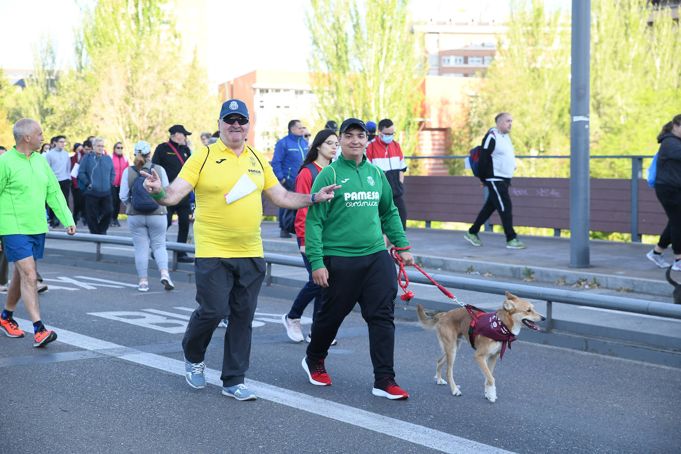 Fotos: 45 Marcha Asprona en Valladolid (5/5)