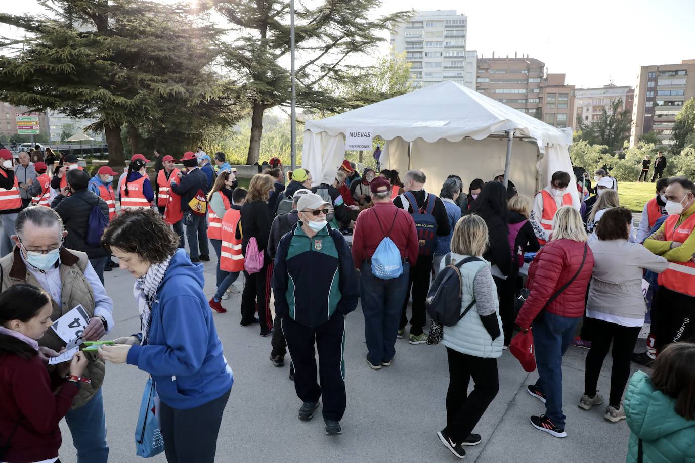 Fotos: 45 Marcha Asprona en Valladolid (9/9)