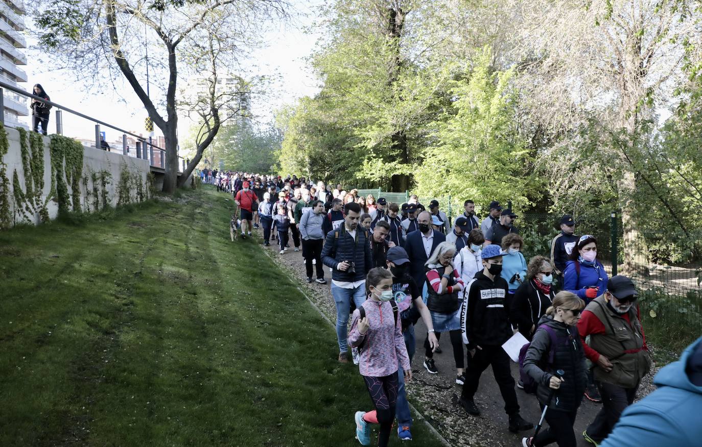 Fotos: 45 Marcha Asprona en Valladolid (7/9)