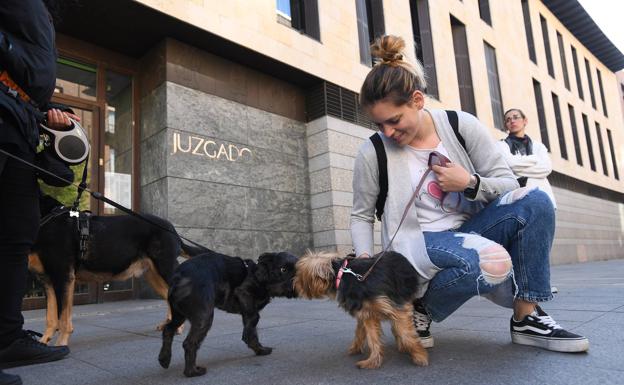 Varias personas, acompañadas de sus mascotas, en la puerta de los juzgados.