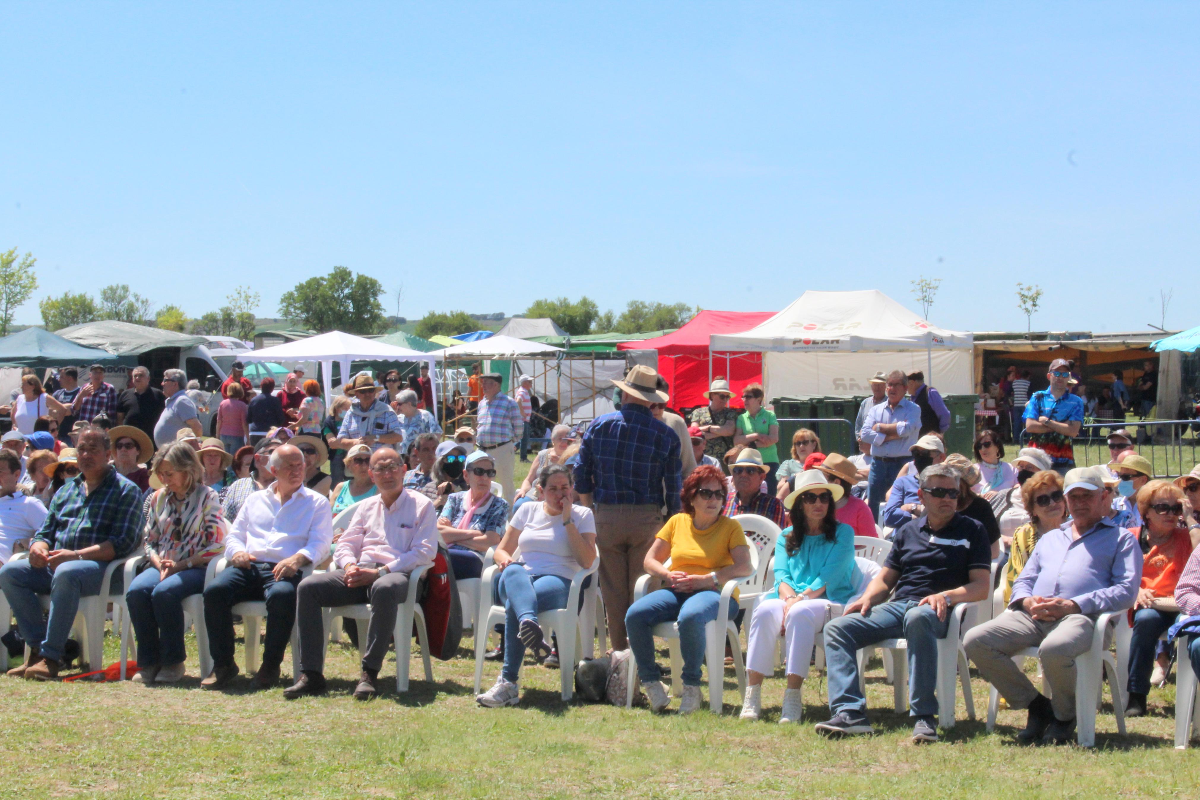 Fotos: Baltanás celebra sus Fiestas Patronales en honor a San Gregorio