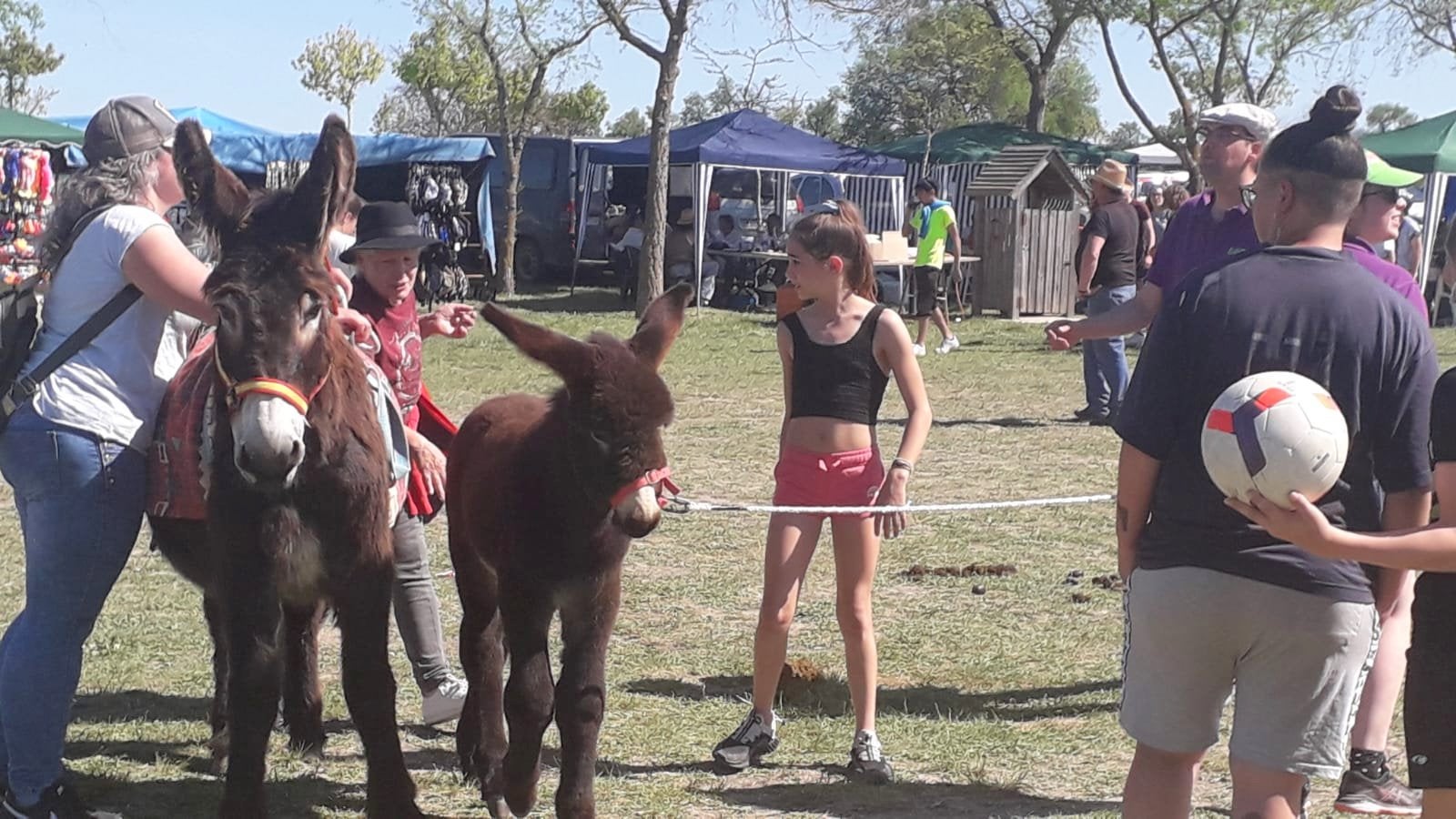 Fotos: Baltanás celebra sus Fiestas Patronales en honor a San Gregorio