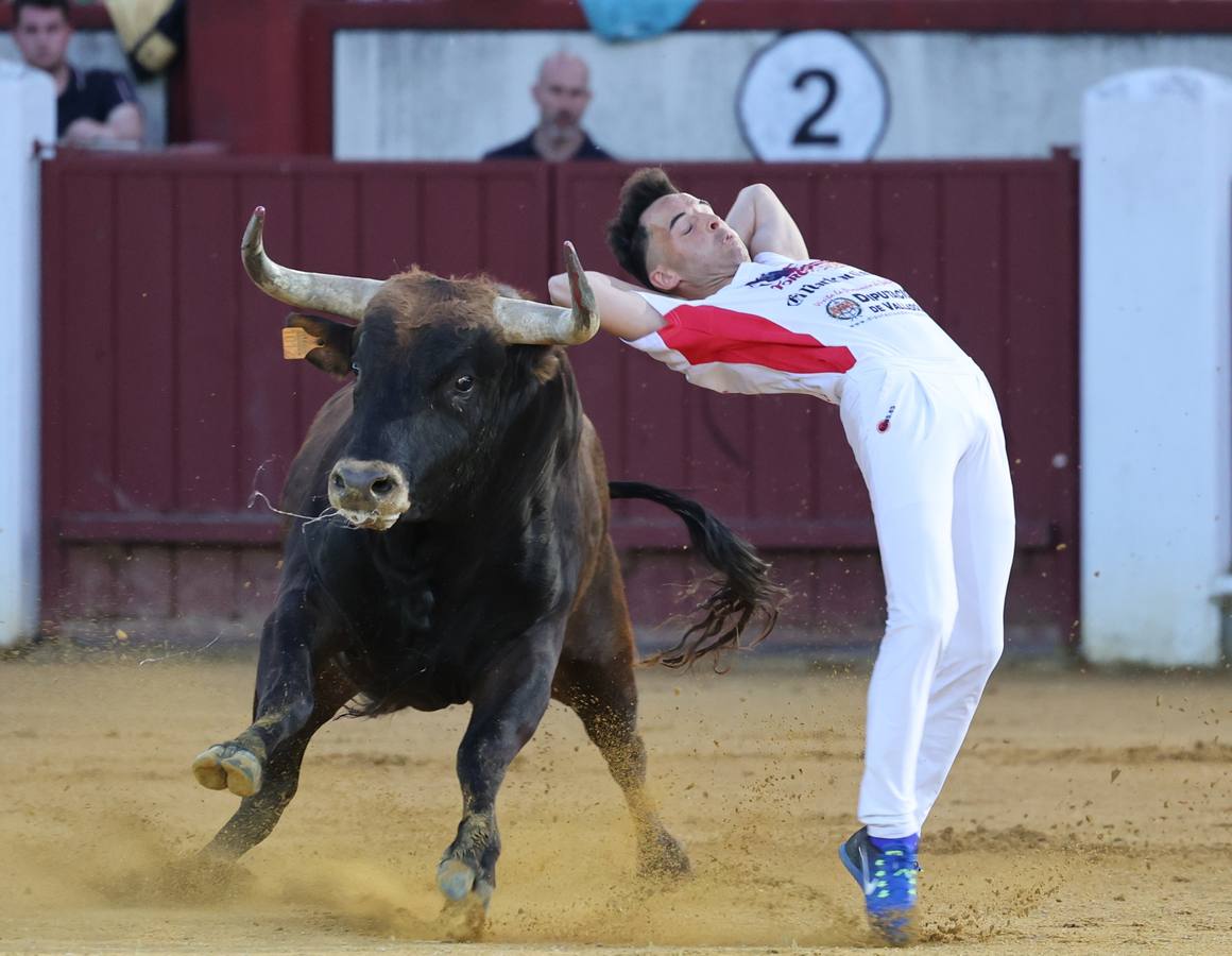 Fotos: Los cortes vuelven a la plaza de toros de Valladolid (1/2)