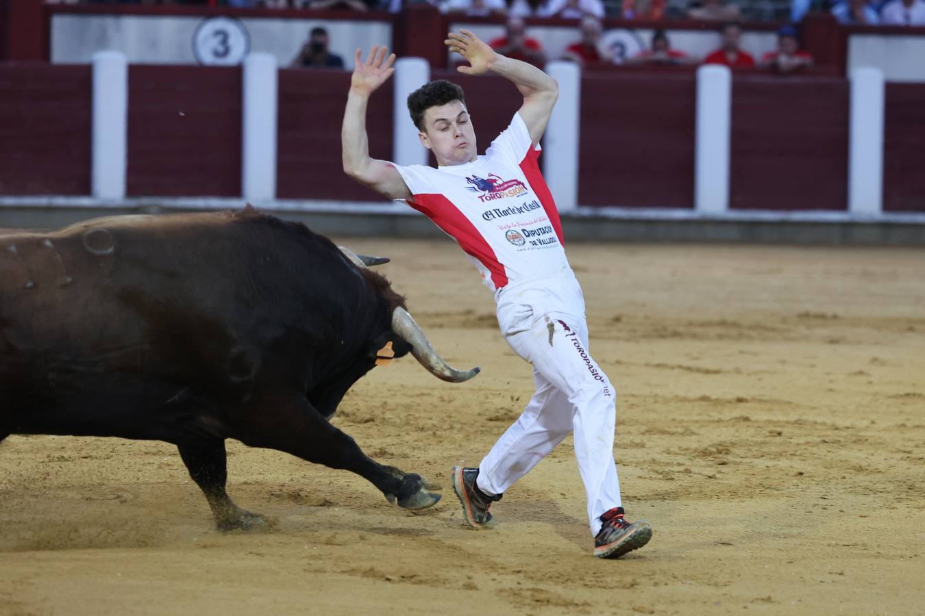 Fotos: Los cortes vuelven a la plaza de toros de Valladolid (1/2)