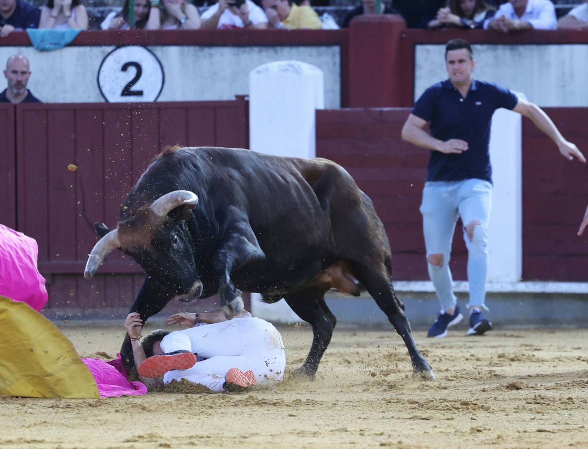 Fotos: Los cortes vuelven a la plaza de toros de Valladolid (1/2)