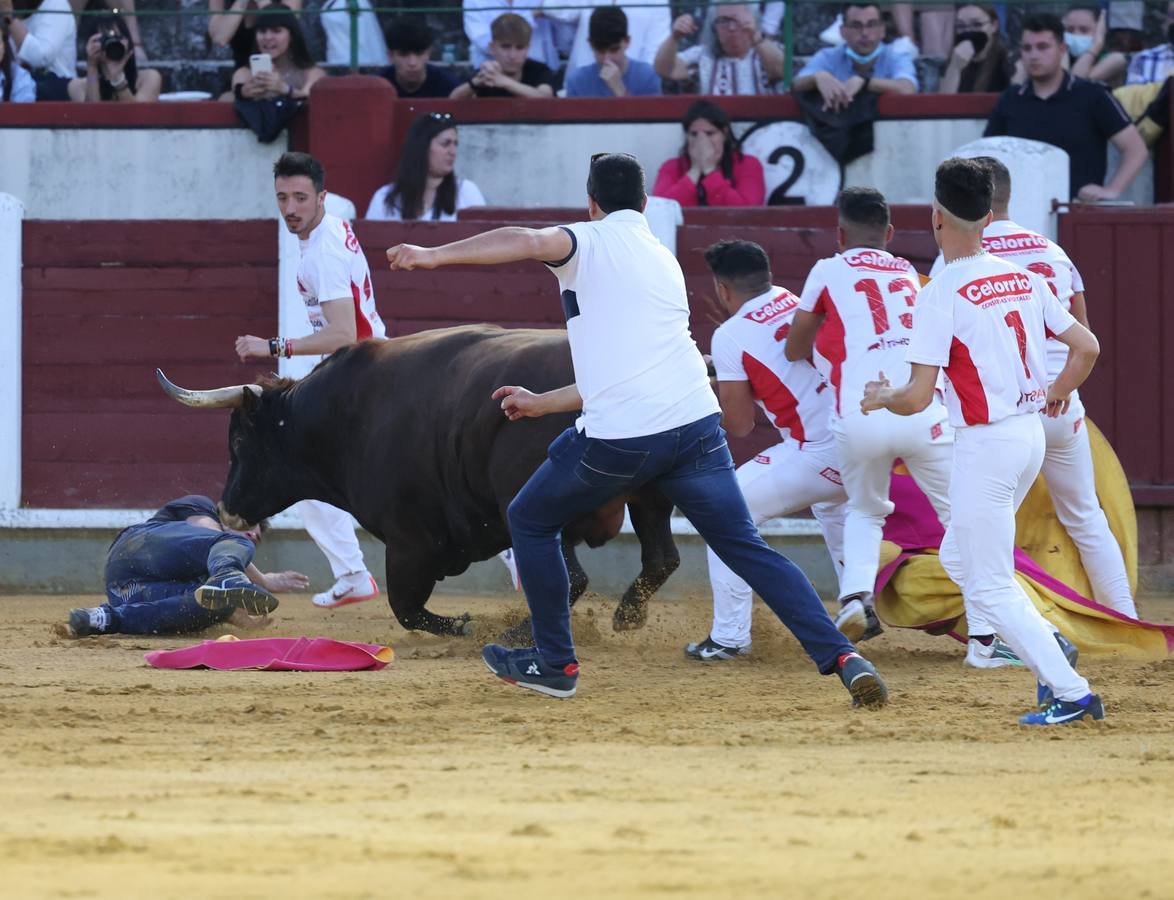 Fotos: Los cortes vuelven a la plaza de toros de Valladolid (1/2)