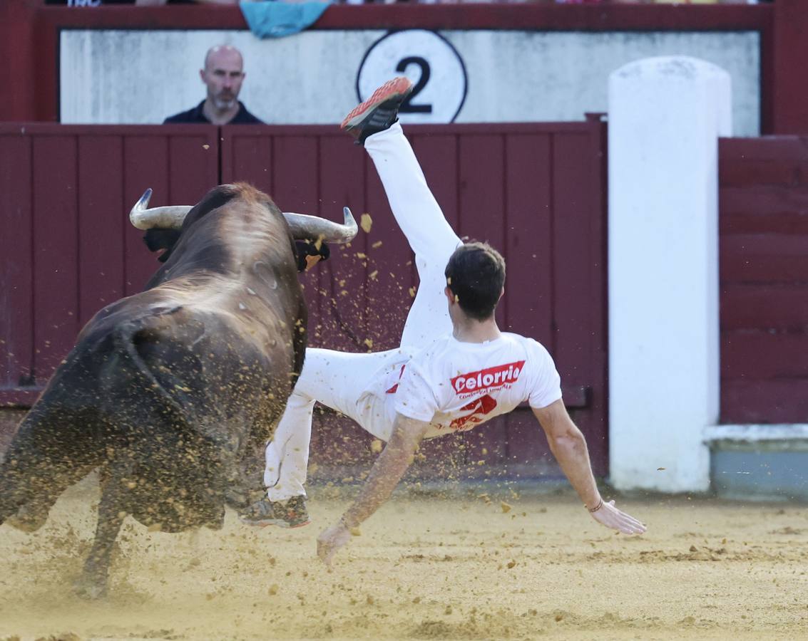 Fotos: Los cortes vuelven a la plaza de toros de Valladolid (1/2)