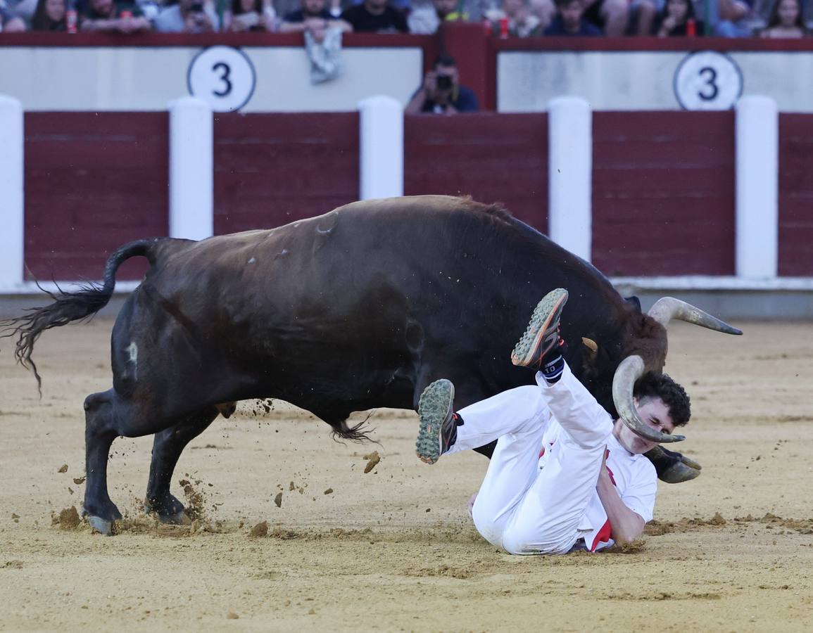 Fotos: Los cortes vuelven a la plaza de toros de Valladolid (1/2)