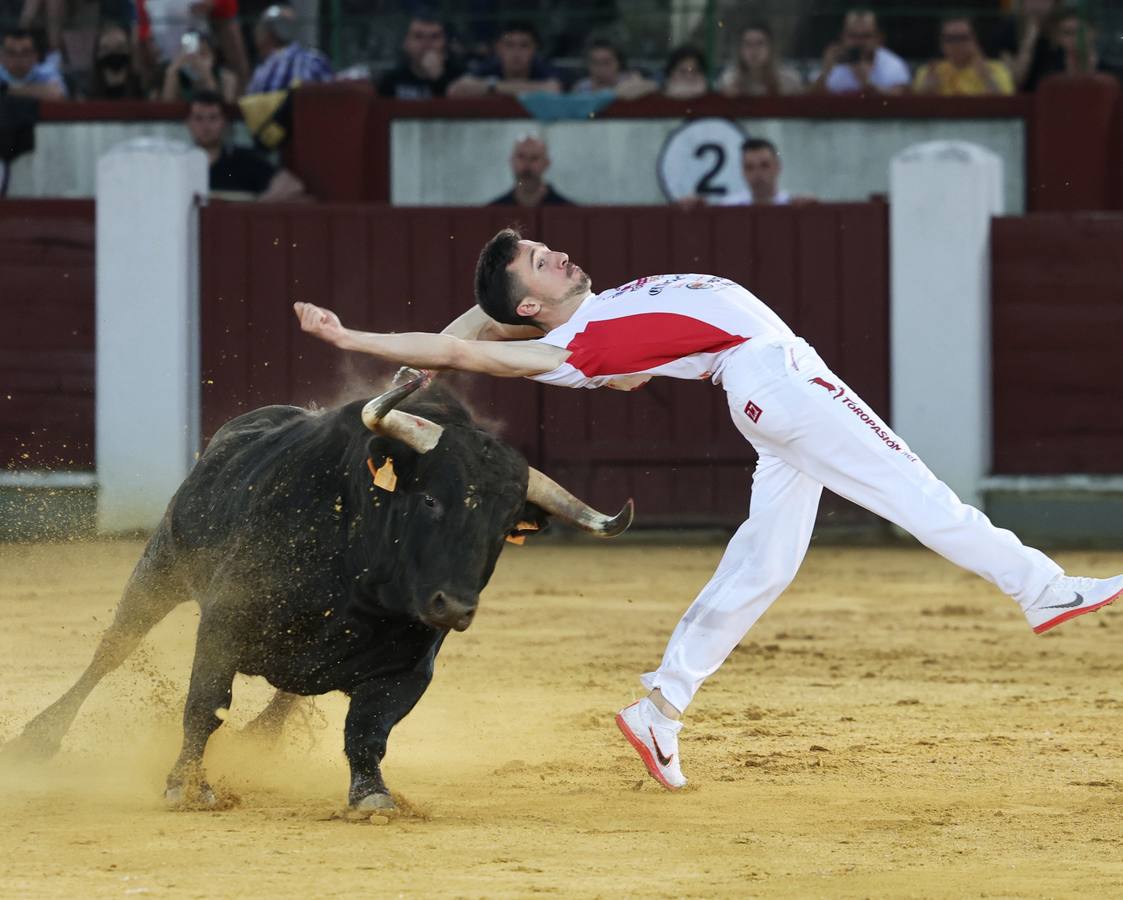 Fotos: Los cortes vuelven a la plaza de toros de Valladolid (1/2)