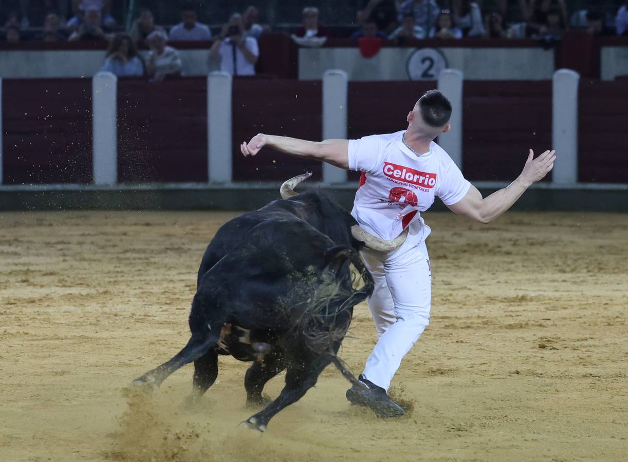 Fotos: Los cortes vuelven a la plaza de toros de Valladolid (2/2)