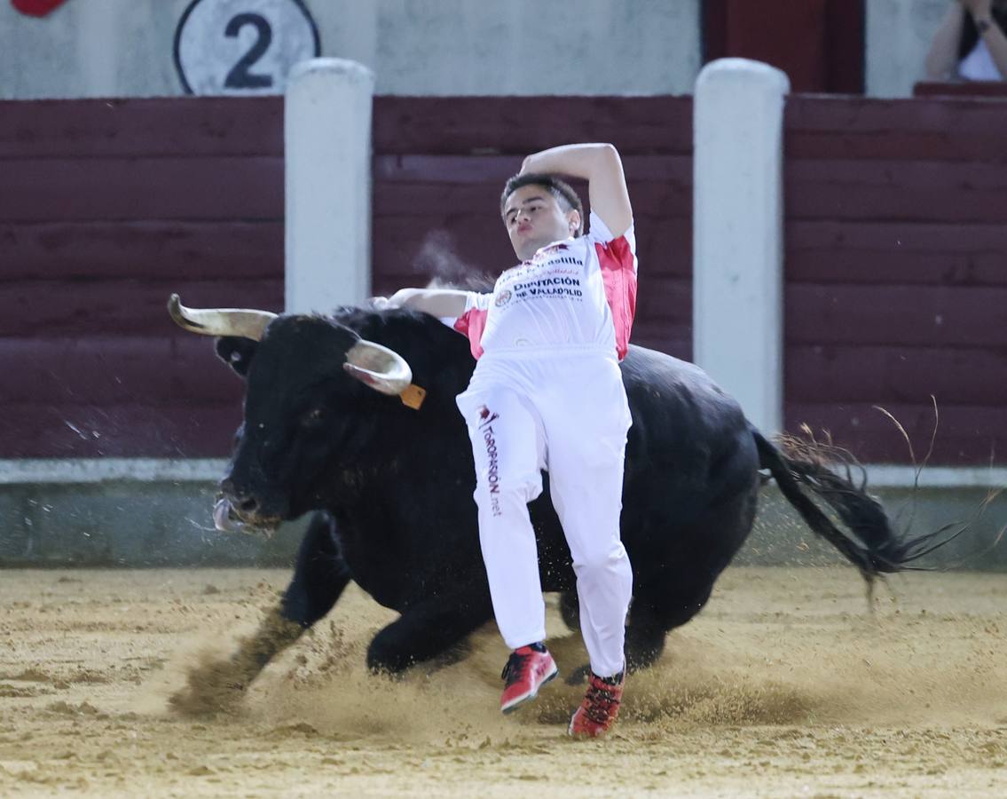 Fotos: Los cortes vuelven a la plaza de toros de Valladolid (2/2)