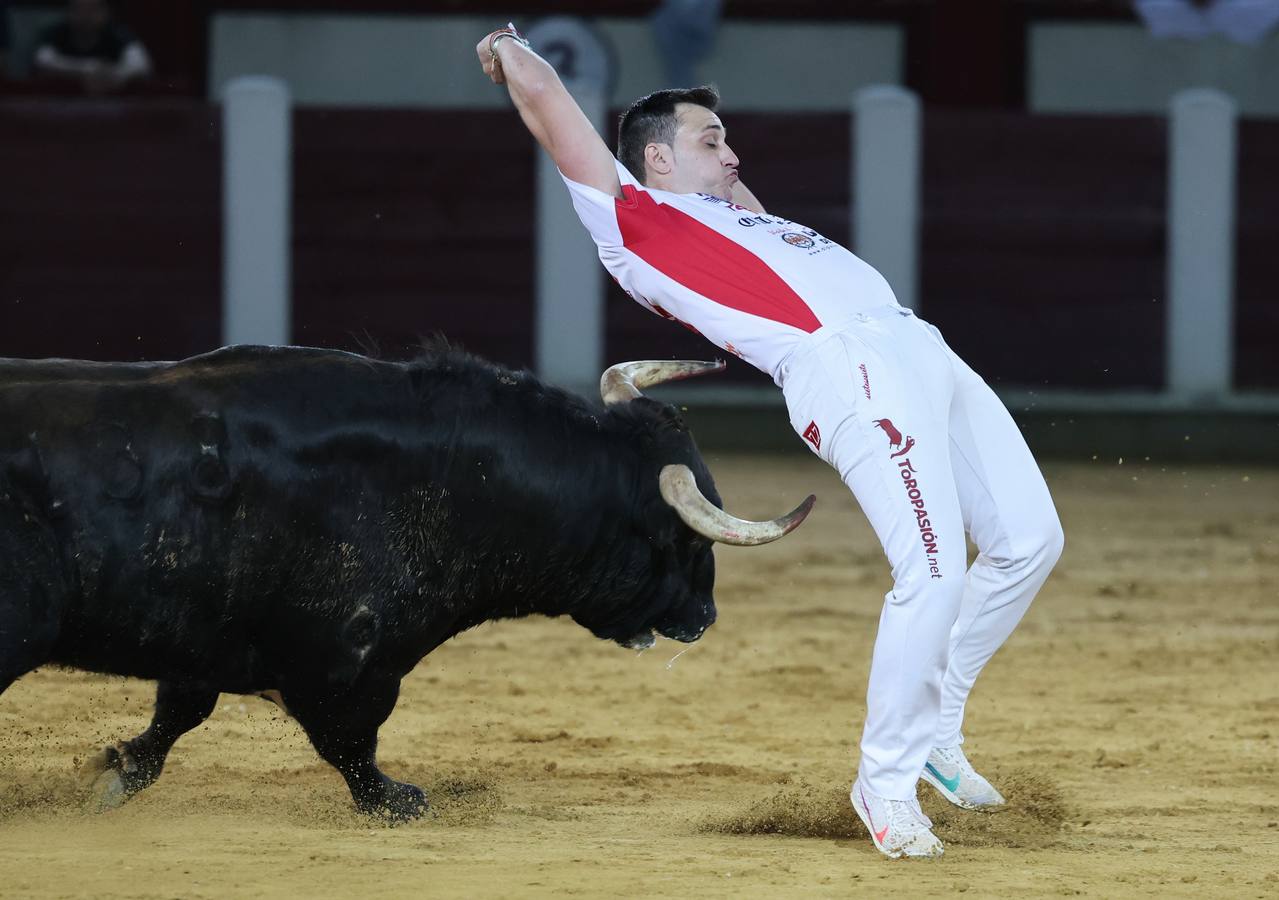 Fotos: Los cortes vuelven a la plaza de toros de Valladolid (2/2)