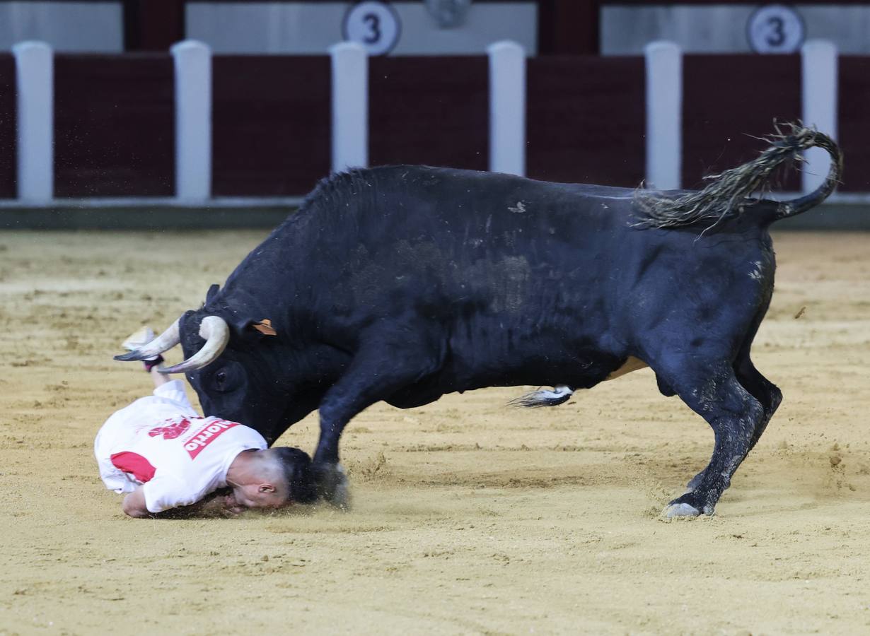 Fotos: Los cortes vuelven a la plaza de toros de Valladolid (2/2)