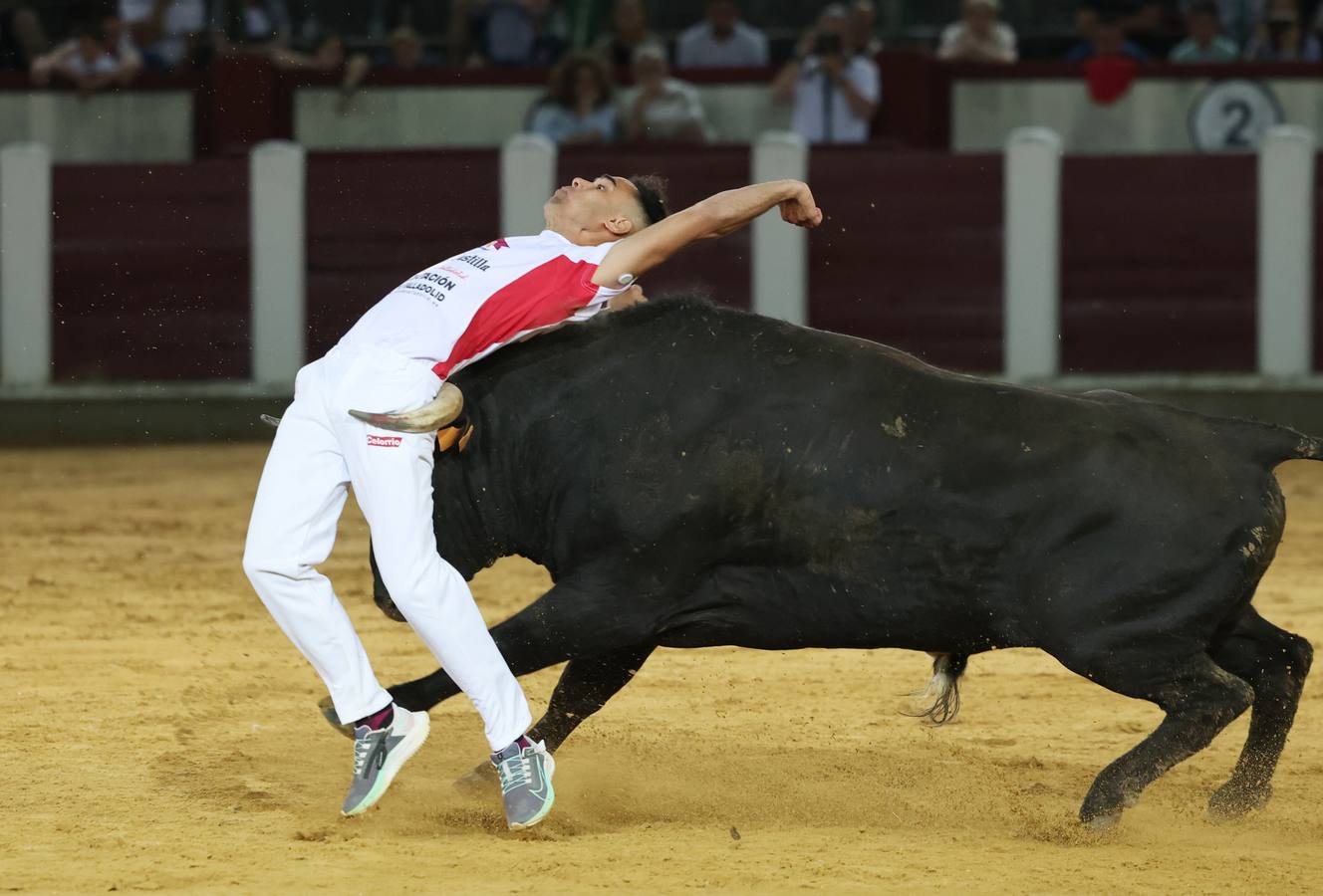 Fotos: Los cortes vuelven a la plaza de toros de Valladolid (2/2)