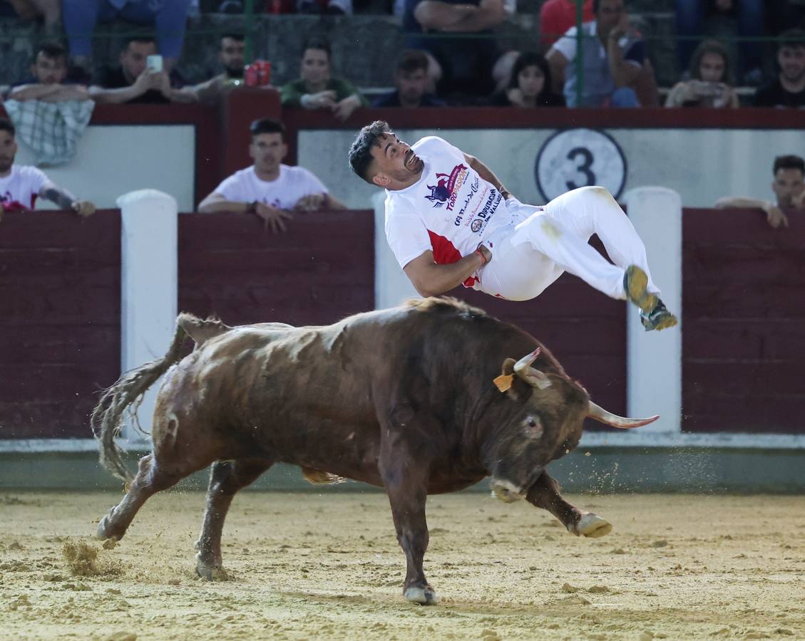 Fotos: Los cortes vuelven a la plaza de toros de Valladolid (2/2)