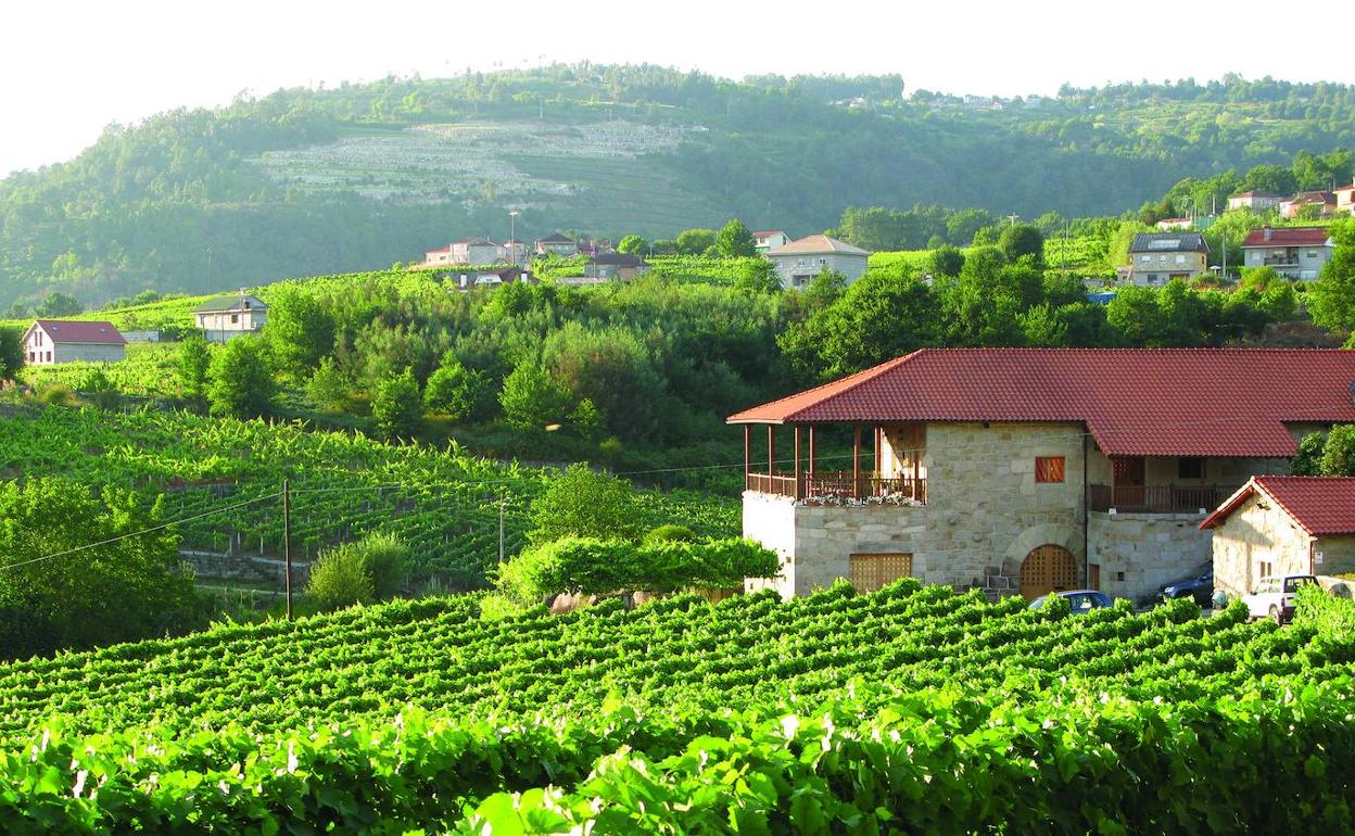 Caserón del siglo XVI en el que se ubica la bodega Sanclodio. 