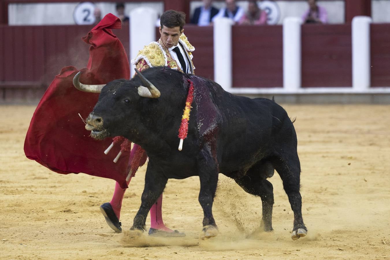 Fotos: Puerta grande en Valladolid para El Juli, Manzanares y Diego Ventura (1/2)