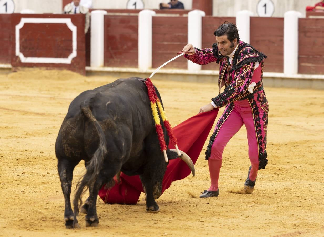 Fotos: Roca Rey y Tomás Rufo abren la puerta grande en Valladolid (2/3)