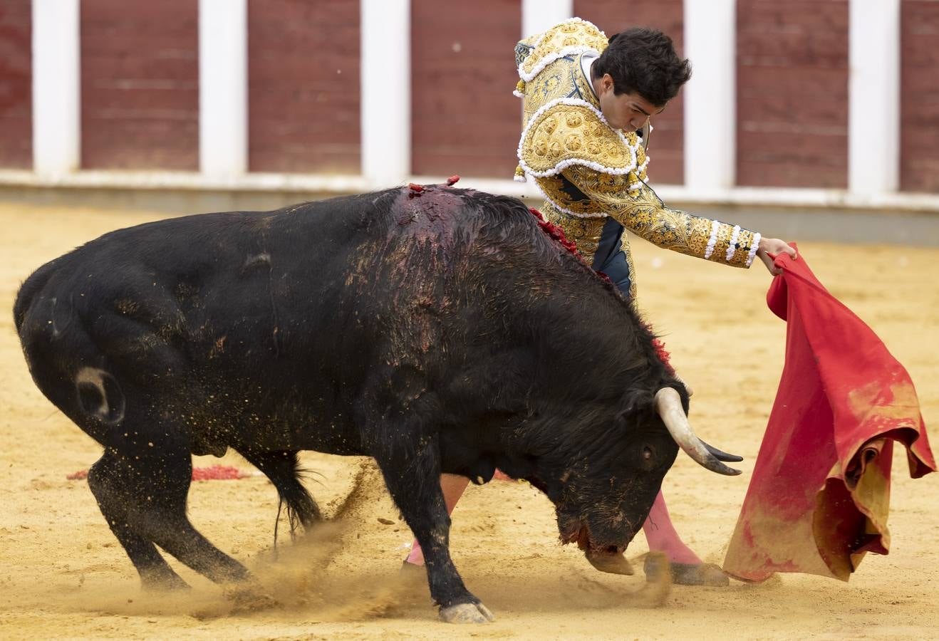 Fotos: Roca Rey y Tomás Rufo abren la puerta grande en Valladolid (2/3)