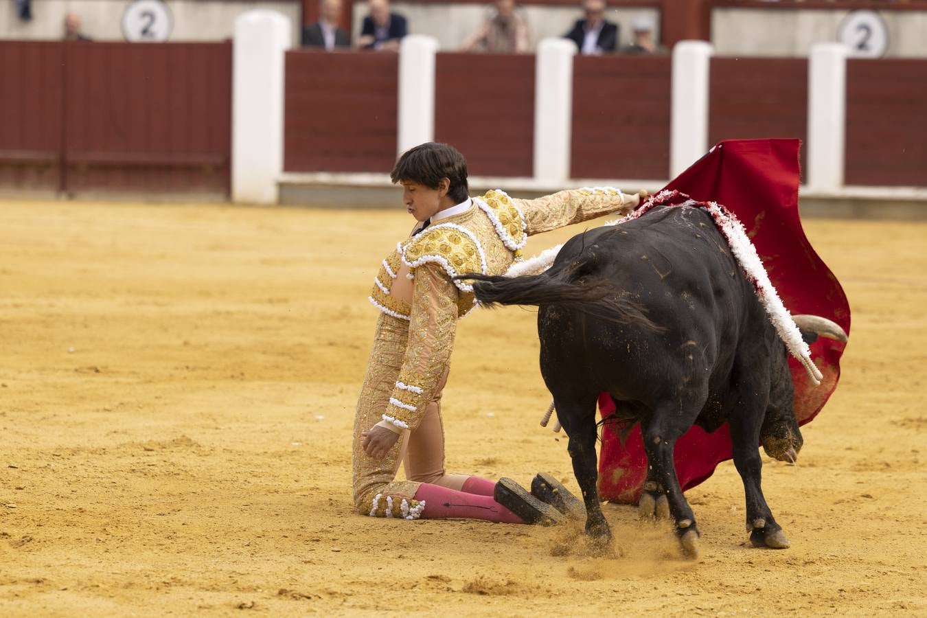 Fotos: Roca Rey y Tomás Rufo abren la puerta grande en Valladolid (3/3)