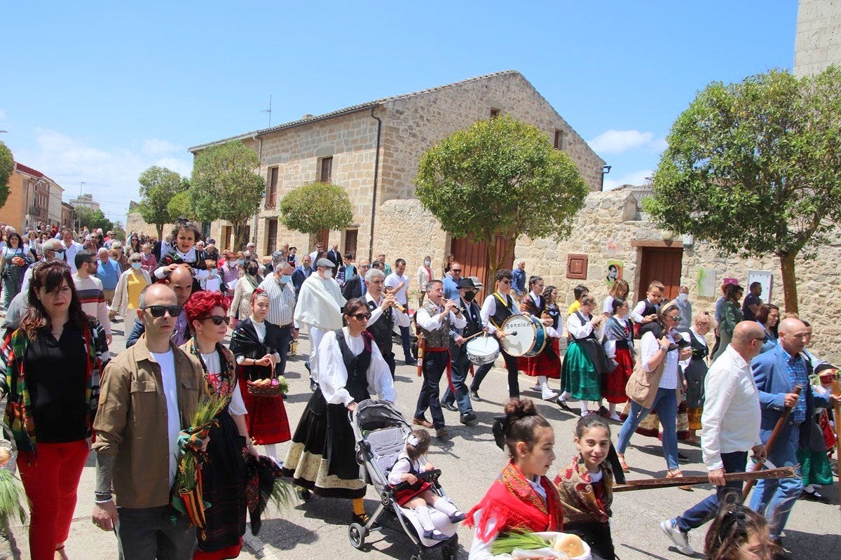 Torquemada celebra con todos los honores la fiesta de San Isidro Labrador