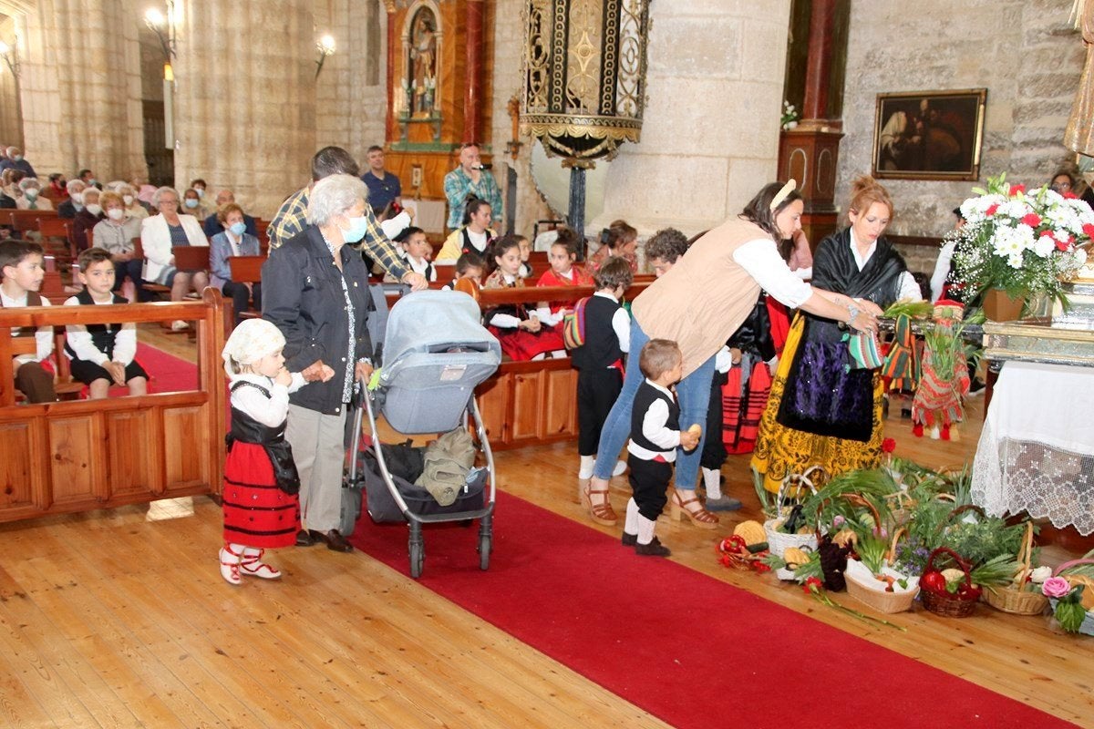 Torquemada celebra con todos los honores la fiesta de San Isidro Labrador