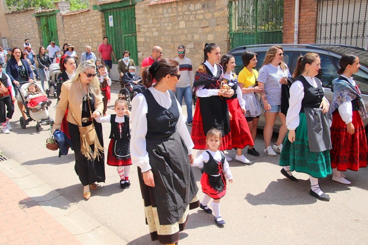 Torquemada celebra con todos los honores la fiesta de San Isidro Labrador