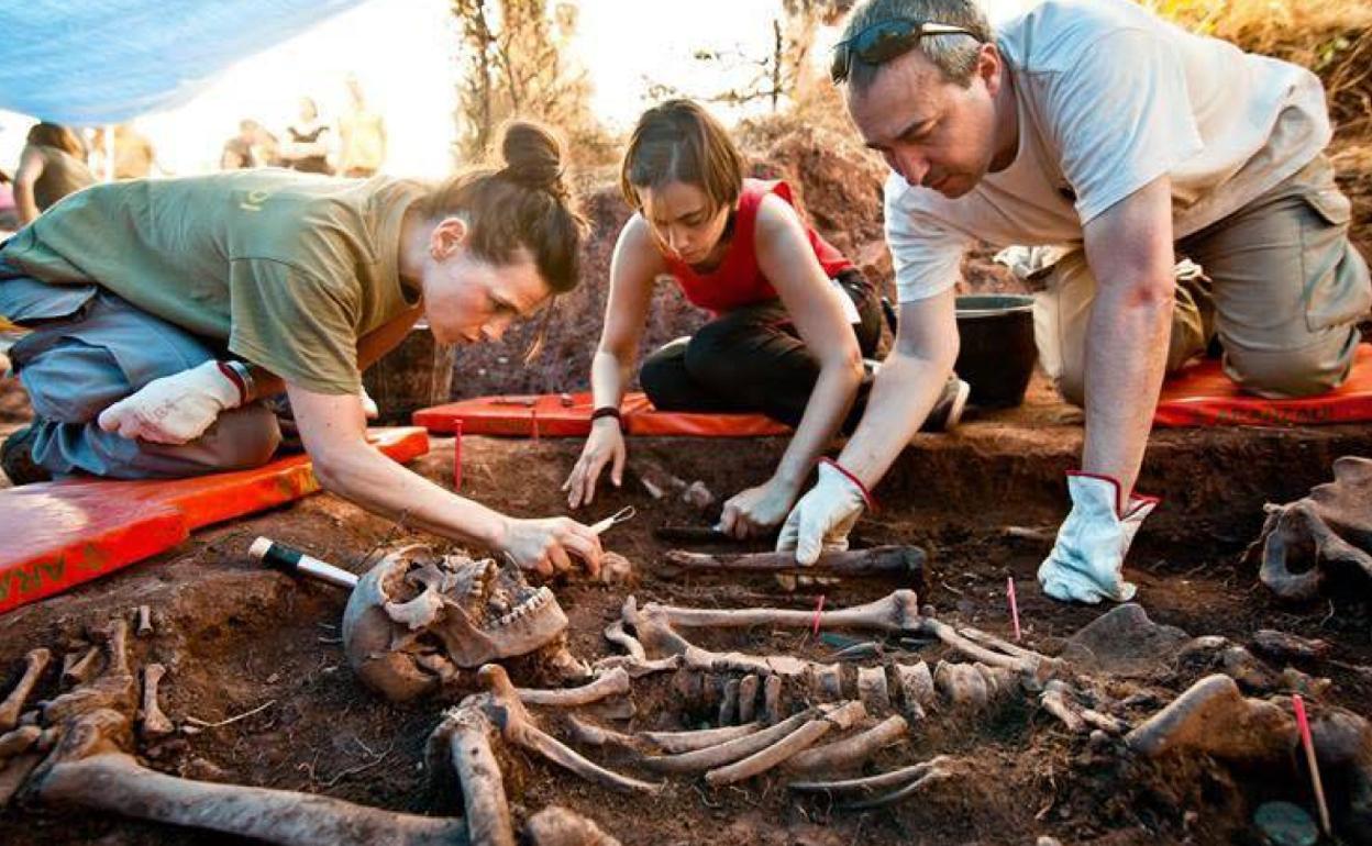 Trabajos de exhumación de una fosa de represaliados del Franquismo en la provincia de Soria.