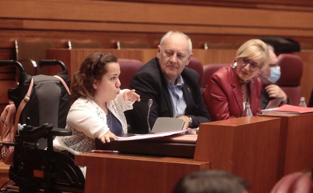 La procuradora del PSOE por Burgos, Noelia Frutos, interpela al vicepresidente.