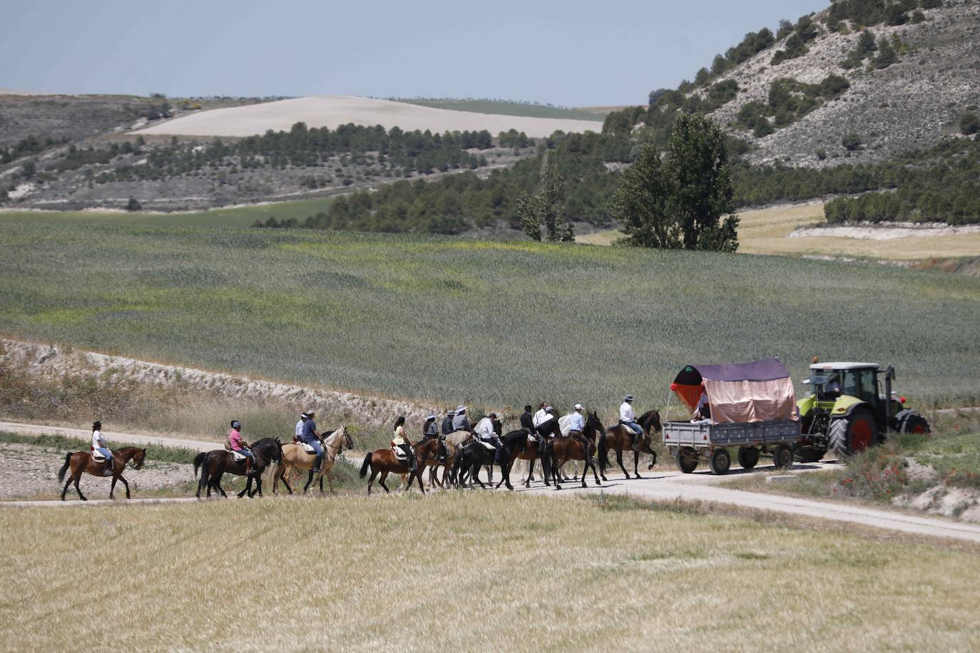 Fotos: Fiesta del caballo en Langayo (Valladolid)