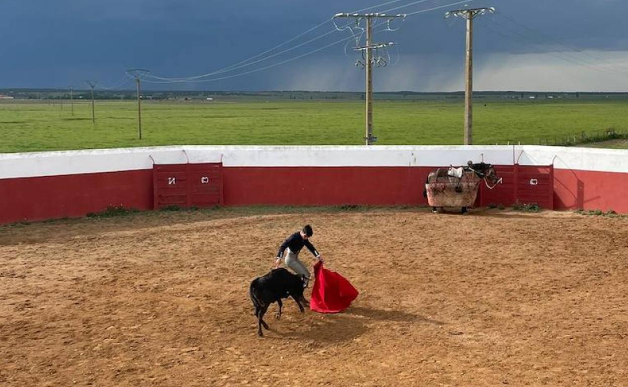 Alba de Tormes celebra hoy la última eliminatoria de su bolsín taurino