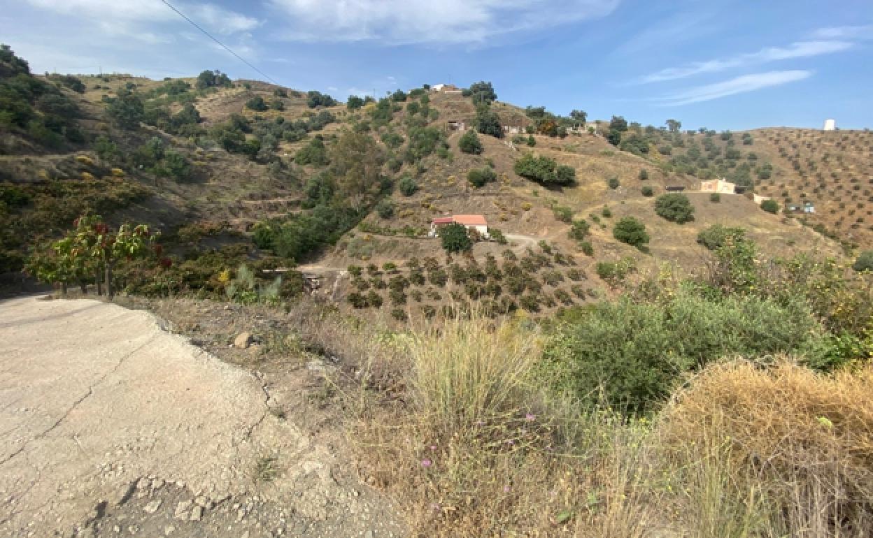 Imagen del entorno rural de Lomas de Cútar en el término municipal de Almáchar, donde ayer ocurrieron los hechos.