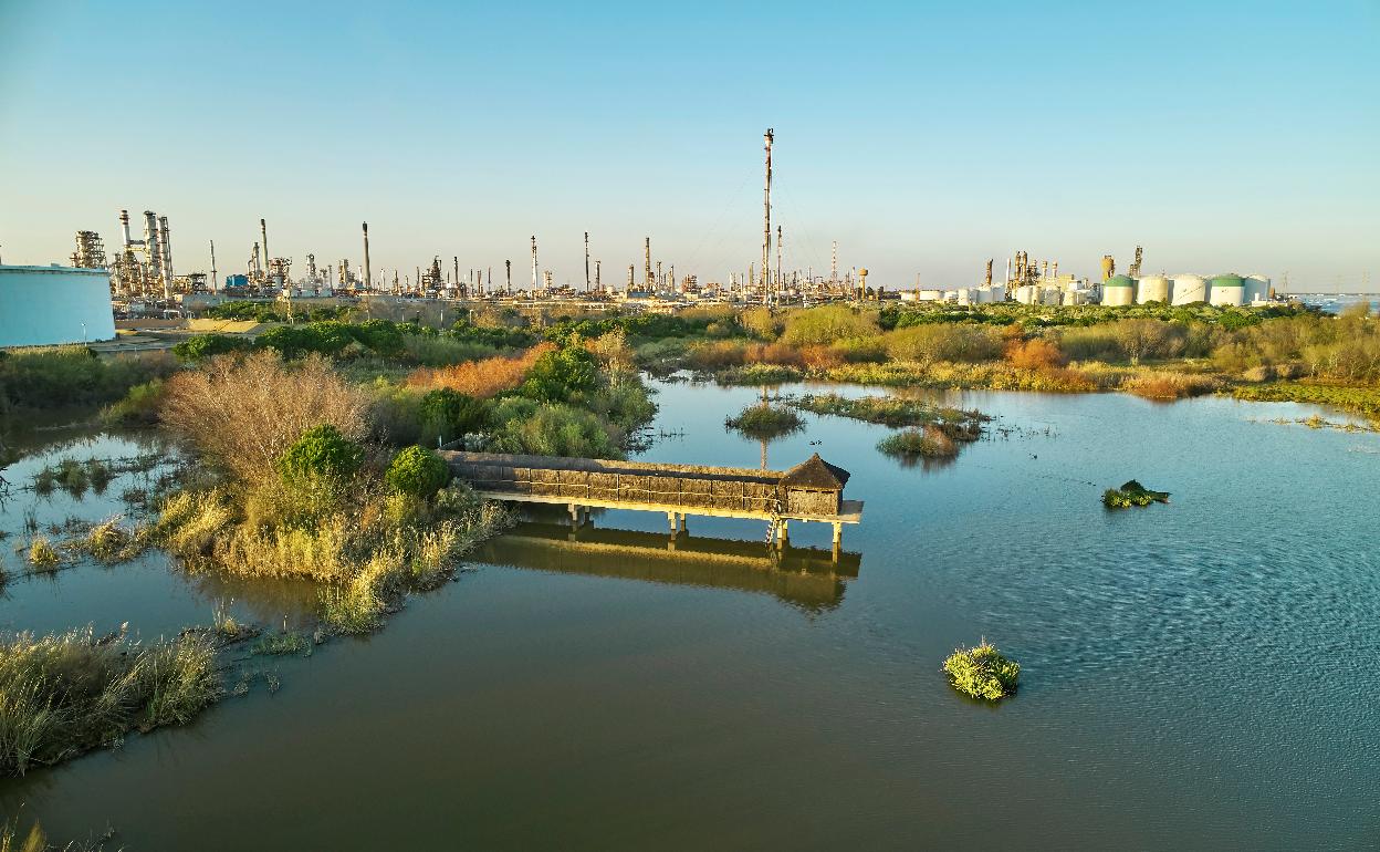 Laguna cerca de planta.