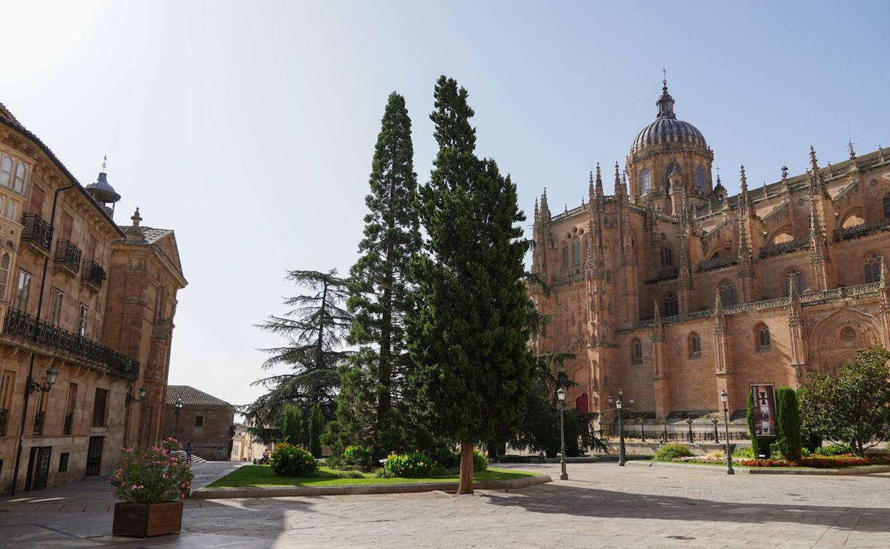 Salamanca Ciudad del Español participa en Turín en unas jornadas para docentes de español